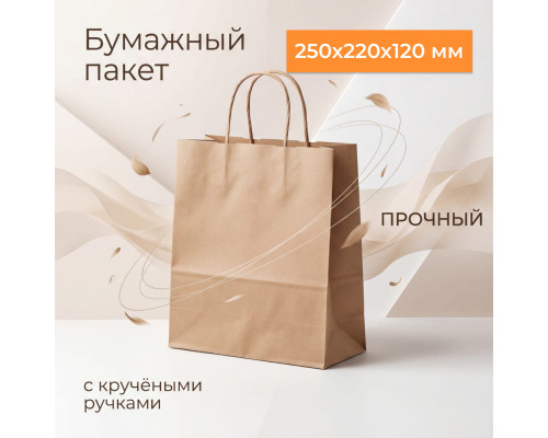 Пакет бумажный с круч. ручками 250*220*120 крафт (кор250шт)